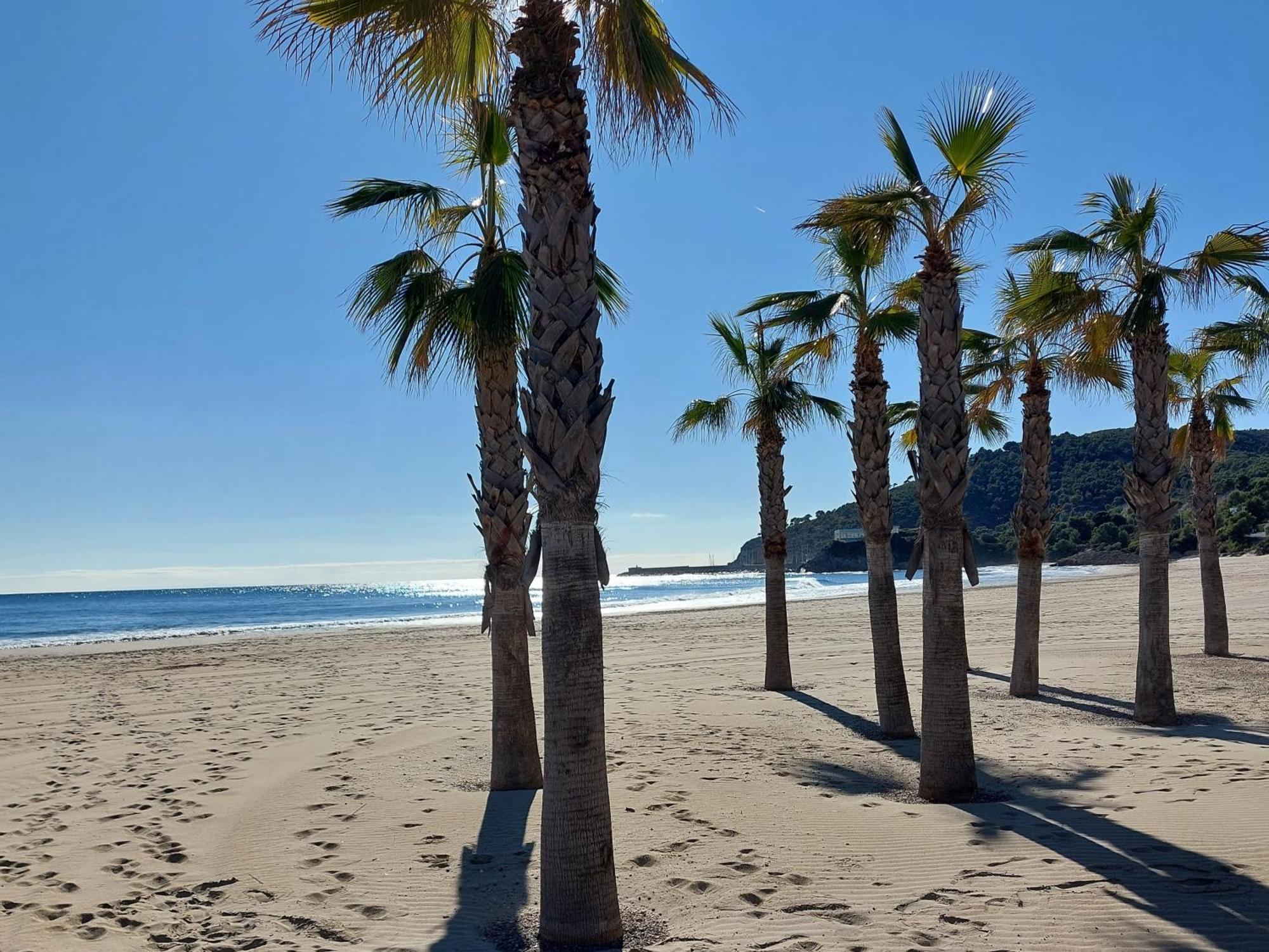 Apartamento Neptuno Sunrise Magic World Oropesa del Mar Esterno foto